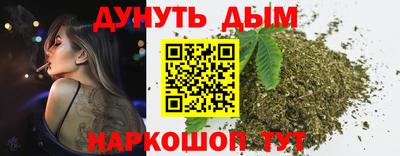 шишки Будённовск