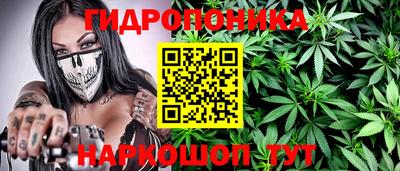 шишки Будённовск