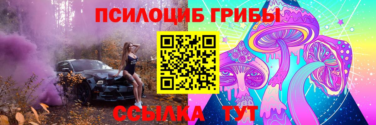 Нижний Новгород  Псилоцибиновые грибы прущие грибы  Вход с VPN  Галлюциногенные грибы Psilocybine cubensis 